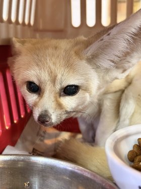 JRS静岡　出品リスト