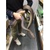 画像2: オリーブパイソ♀ 270cm (2)