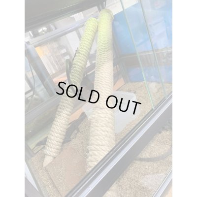 画像6: ブラックツリーモニター