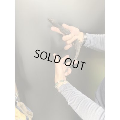 画像4: ブラックツリーモニター