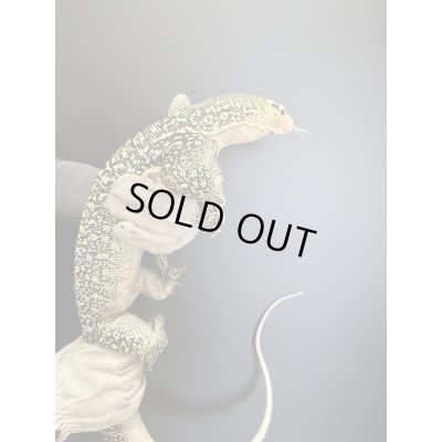 画像3: イエローヘッドモニター