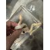 画像1: ヒロクチミズヘビ　アルビノ (1)