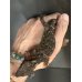 画像2: アカメコブトカゲ雌(ツァクアルティパンテクス)(ペア¥170.000-)(トリオ¥234.000-) (2)