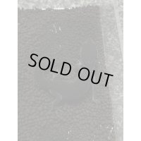 レオパードゲッコー ブラックナイト（フェリーライン） フルブラック