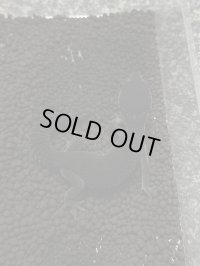 レオパードゲッコー ブラックナイト（フェリーライン） フルブラック