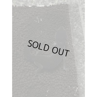 画像1: レオパードゲッコー ブラックナイト（フェリーライン） フルブラック