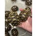 画像1: ヒョウモンリクガメ (1)