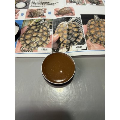 画像2: 甲羅ワックス