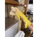 画像1: グリーンイグアナ　T-アルビノ　アダルトメス (1)