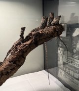 JRS熊本　出品リスト