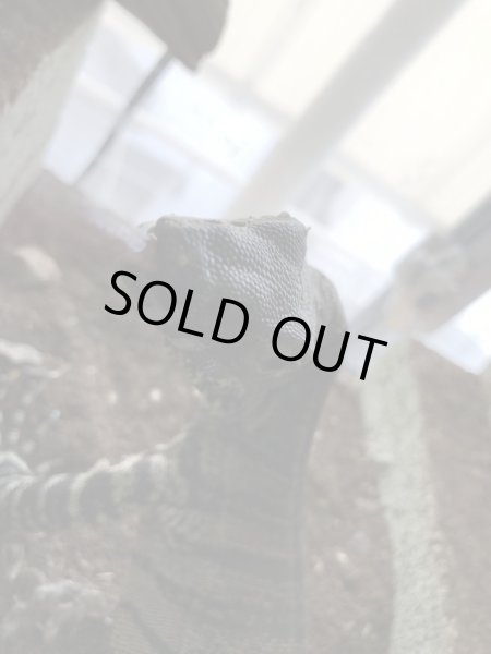 画像4: レースモニター タイガーフェイズ♀ (4)