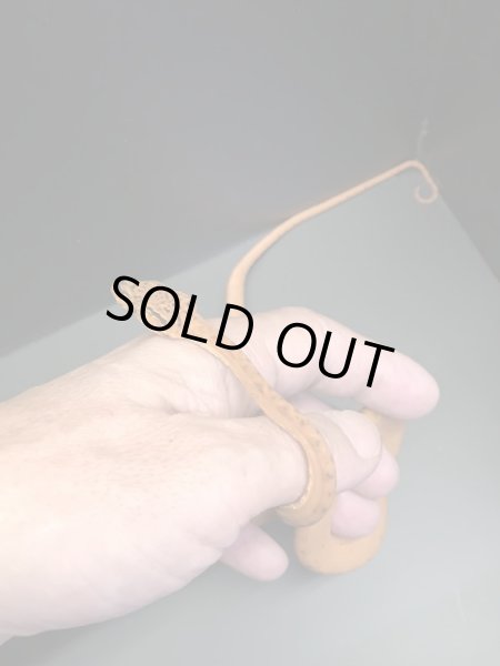 画像2: アマゾンツリーボア カラー 国内CB(1) (2)