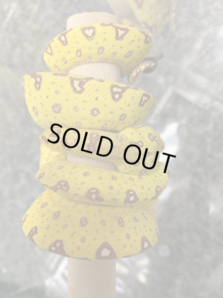 画像4: グリーンパイソン ビアク ベビー (4)