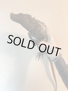 全商品 - terra (Page 3)