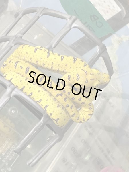 画像3: グリーンツリーパイソン　アルー (3)