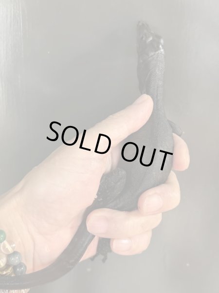 画像2: メラニスティック サルバトールモニター (2)