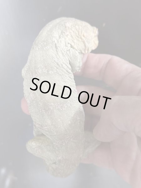 画像3: ジャイアントゲッコーヘンケリーCaanawa(カナーワ) (3)