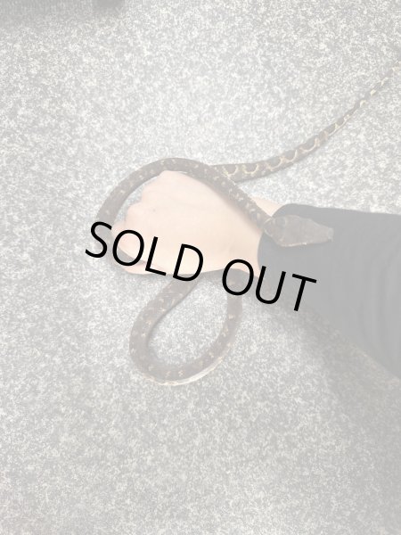 画像2: ビブロンボア (2)