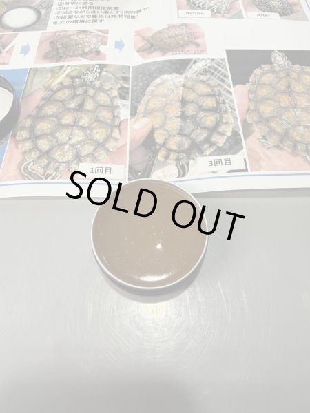 画像2: 甲羅ワックス (2)